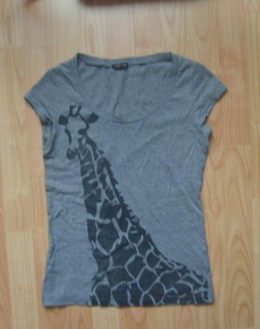 Daiktas Terranova maikute