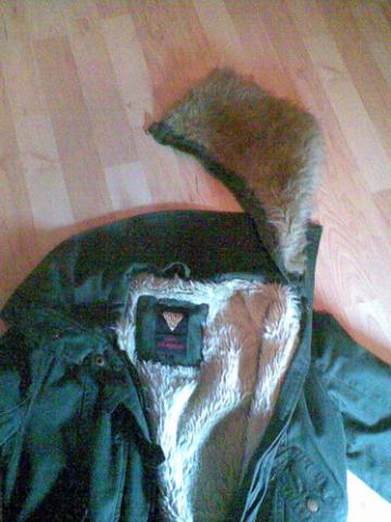 Daiktas Šilta Striukė