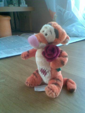 Daiktas pliusinis tigriukas, mikes draugas :)