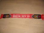 Daiktas FC Bristol City šalikas