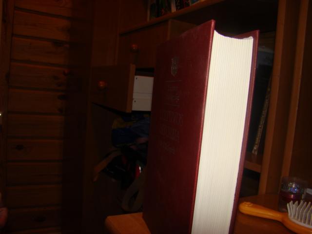 Daiktas istoriku knyga