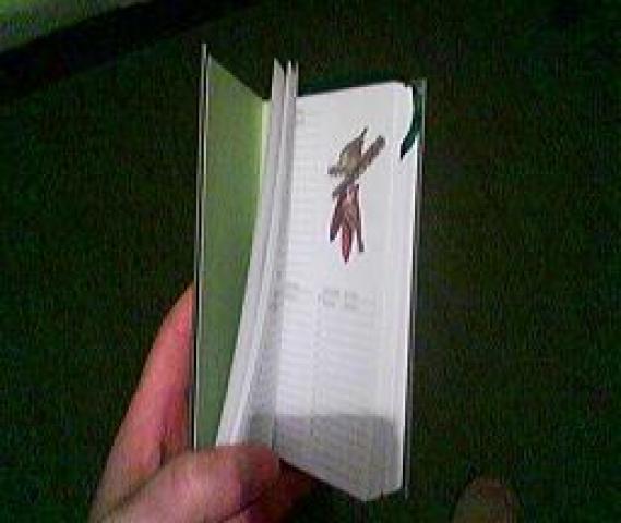 Daiktas uzrasine.Italija