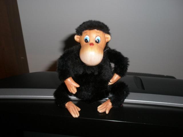 Daiktas grazutis bezdzioniukas