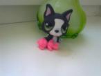 Daiktas Littlest pet shop gyvuneliai