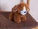 Pliušinis žaislas, mielas šuniukas Kaunas - parduoda, keičia (1)