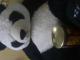 didele panda Klaipėda - parduoda, keičia (2)