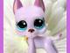 Daiktas Littlest pet shop  ieskau