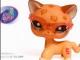 Littlest pet shop  ieskau Klaipėda - parduoda, keičia (2)