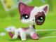 Littlest pet shop  ieskau Klaipėda - parduoda, keičia (3)