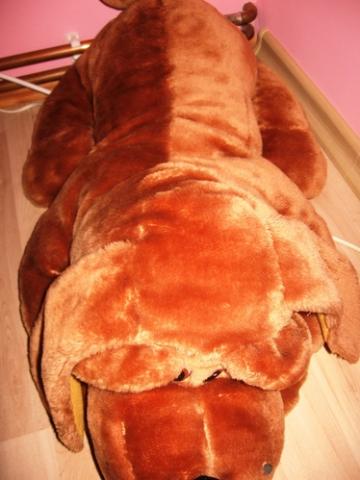 Daiktas Naujas didziulis suo, tinka dovanoti