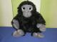 Zaislas vaikams - pliusine gorila bezdzione Kėdainiai - parduoda, keičia (2)