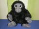 Zaislas vaikams - pliusine gorila bezdzione Kėdainiai - parduoda, keičia (3)