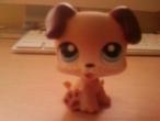 Daiktas LittlestPetShop šuniukas