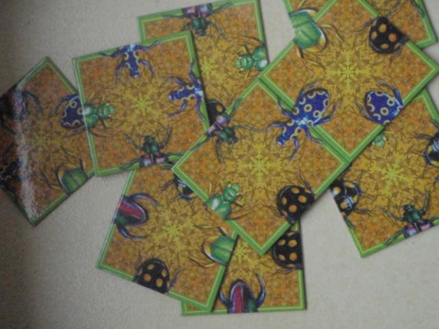 Daiktas Galvosūkis/žaidimas "Vabalai"