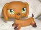 LPS Littlest pet shop Vilnius - parduoda, keičia (4)