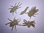 Daiktas insects
