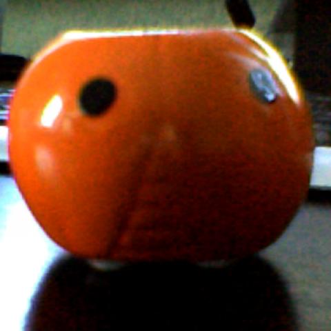 Daiktas Žvakidė "boružė"