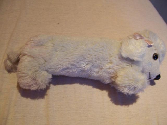 Daiktas penalas - suniukas