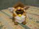 Daiktas Furbyyyy;D