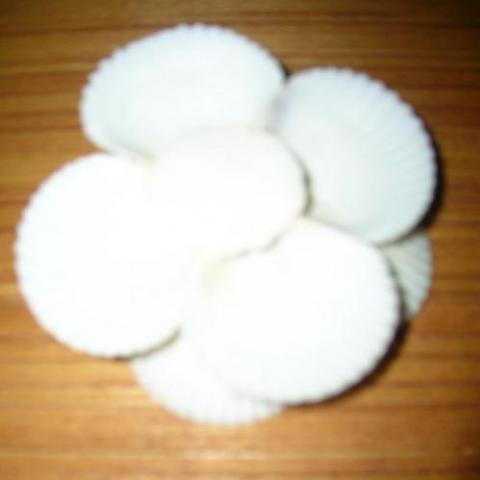 Daiktas Kriaukline zvakide