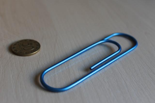 Daiktas Didelė sąvaržėlė