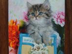 Daiktas 2007 metų kalendoriukas su katinėliais :)