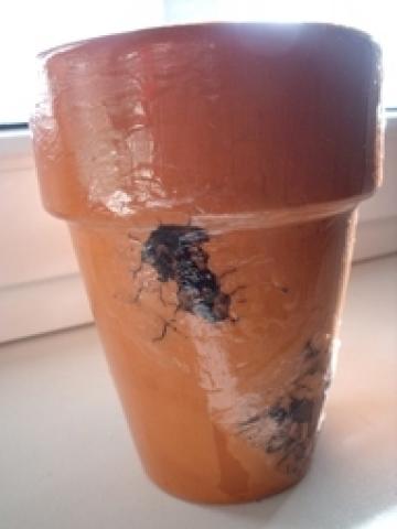 Daiktas Dekupazintas vazoncikas