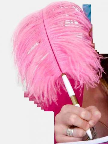 Daiktas Plunksninis tušinukas