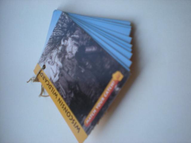 Daiktas Žuvų kortelės.