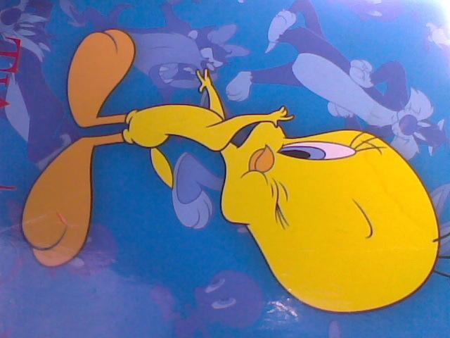 Daiktas papkyte maziems sasiuviniams