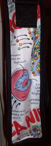 Daiktas Rankinė (DNR) 