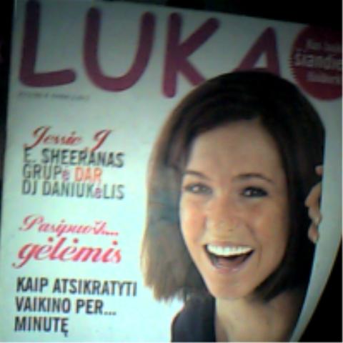 Daiktas lukos  zurnalas 2012 nr.4