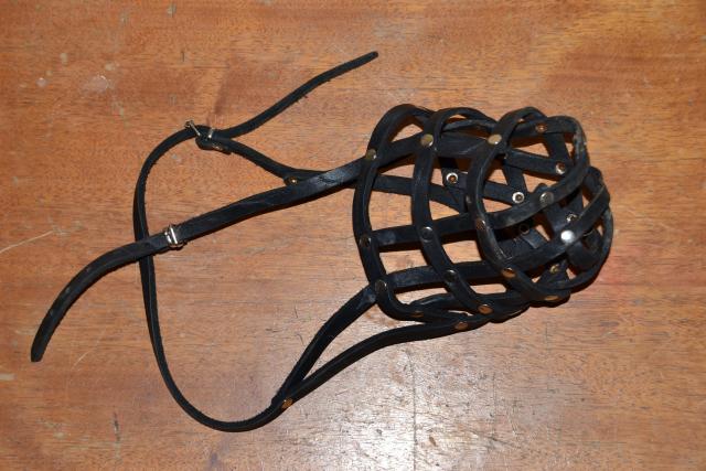 Daiktas Aviganių patinų juodas odinis antsnukis