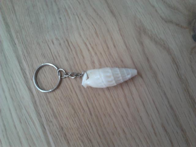 Daiktas Raktų pakabukas kriauklė