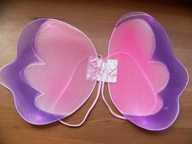 Daiktas Princesiški sparnai (didinti)