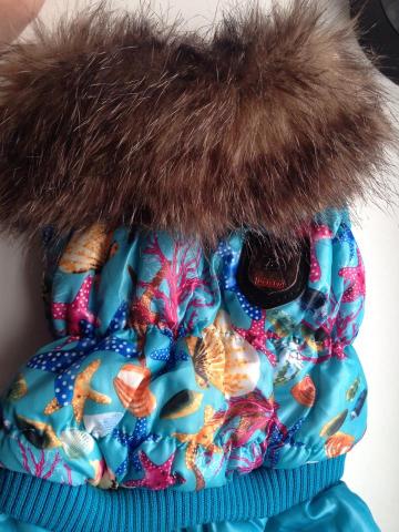 Daiktas Prabangus kombinizonas suniukui