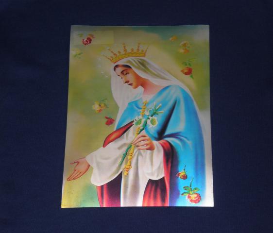 Daiktas 3D plastikinis didelis grazus paveikslas su sv. marija