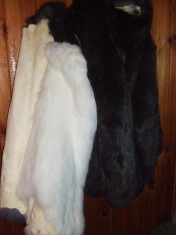 Daiktas triušio kailis