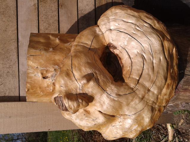 Daiktas medzio atauga