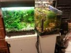 Daiktas Sukomplektuoti du po 30 ltr akvariumai