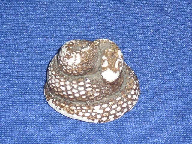 Daiktas Maza gipsine susisukusi gyvatele