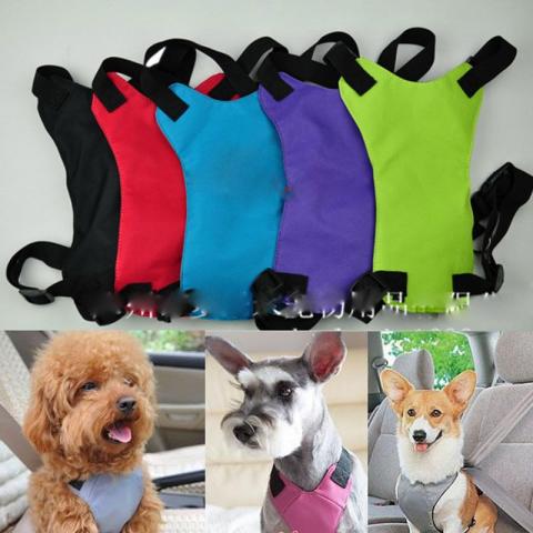 Daiktas Saugos liemene šuneliui