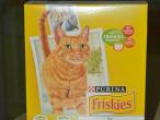 Daiktas Friskies Indoor cat