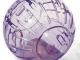 Hamster ball kamuolys ziurkenui begioti Vilnius - parduoda, keičia (1)