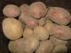 Bulvių maišai po 40 kg Vilnius - parduoda, keičia (1)