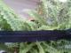 16 cm zipper naujas Vilnius - parduoda, keičia (1)