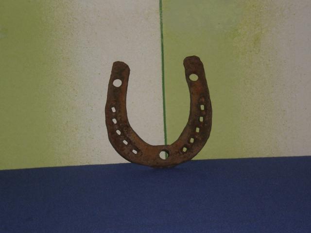 Daiktas Arklio pasaga kad atnestu laime