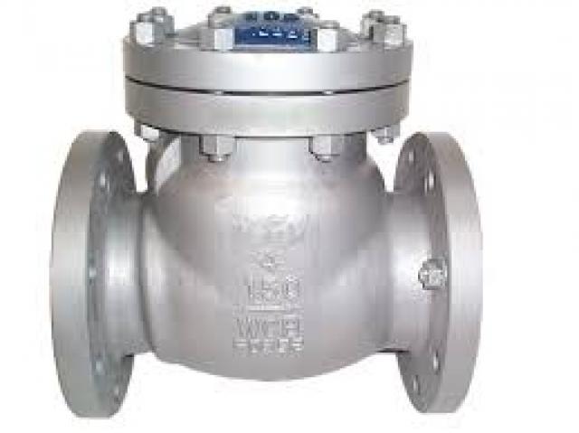 Daiktas Check Valves in Kolkata