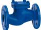 Daiktas Check Valves Suppliers in Kolkata