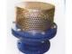 Daiktas Foot Valves Suppliers in Kolkata